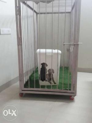 Dog cage full solid iron 130kg weight 