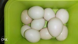 Fancy hen eggs (alankarakozhy Mutta) Ranny silver