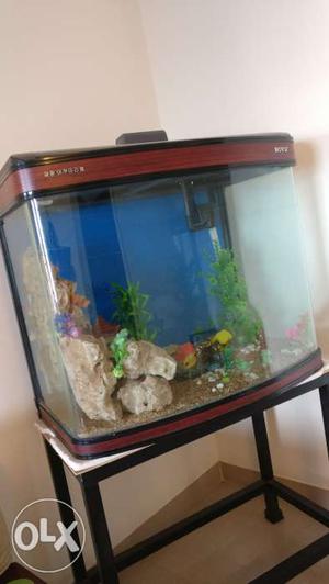 Fish aquarium,boyu make,, including