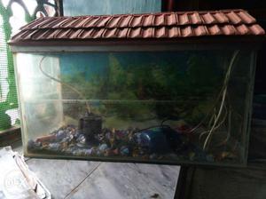 Fish tank two feet by one feet along with the