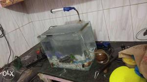 Fish tank with machinery urrgent sale