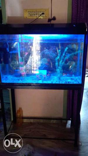Fish tank with stand oxygen filter