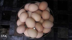 Kadaknath eggs 25 pics