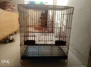 Strong cage for sell