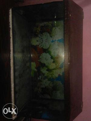 Tanks for sell I have 4 tanks for sell 2 tanks of