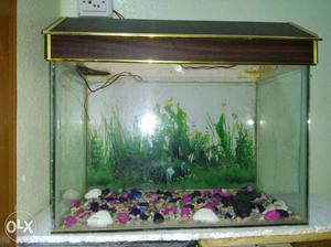 Very good rich aquarium in a cheap price