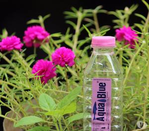 Aqua blue 200 ml Water Bottle Manufacturer and Supplier