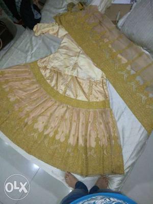 Silver And Yellow Sari