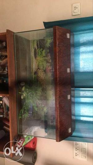 6 month old fish tank; used only for a month.