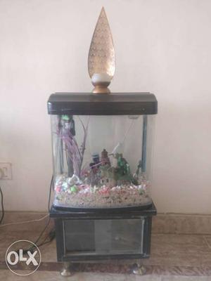 Aquarium With Cabinet (With Light) and all accessories