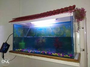 Big Fish Tank with related accessories like