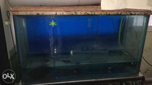 Big and good size fish tank with good suport