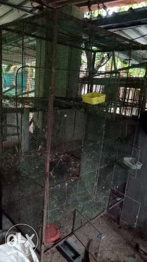 Birds cage for sale good condition 6 kalliszz
