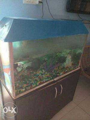 Blue Framed Fish Tank With Stand