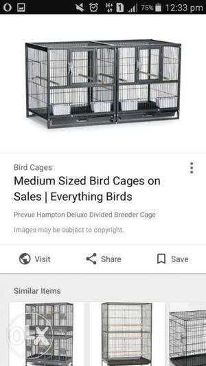 Blue Steel Bird Cages Screenshot