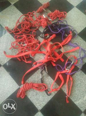 Dog belts and rope