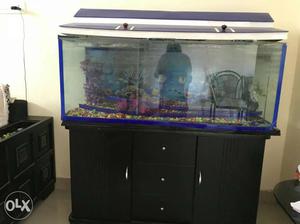 Fish Aquarium With Stand And All Equipments, No Bargaining