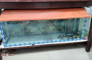 Fish Aquarium for Sale