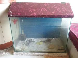 Fish Tank 2 feet length and 1 5 feet height with