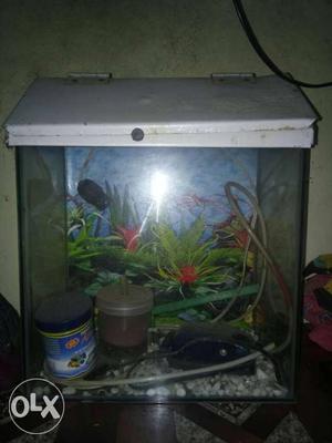 Fish Tank Unused with filter, fish food, oxygen