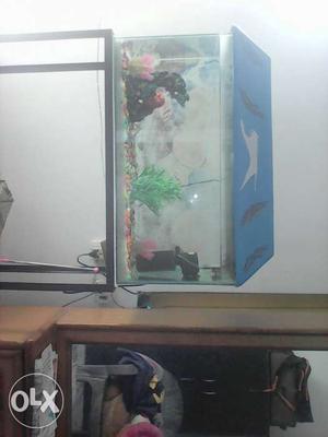 Fish aquarium 3feet* with stand