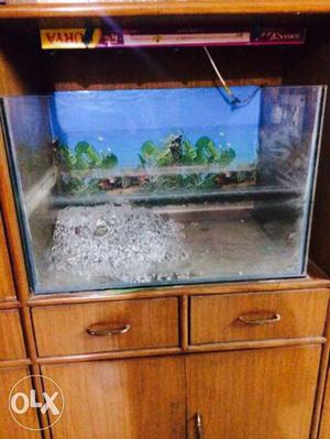 Fish aquarium for sale.Perfect conditon and with