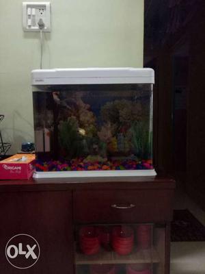 Fish tank 17x 17 in good working condition