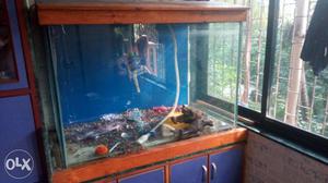 Fish tank 3.5'x2.5'x2.5 excellent condition,