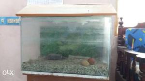 Fish tank motor, filter, stones full set for sale