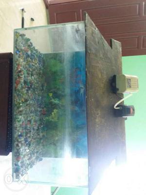 Fish tank with colour stones and 2 motor and top