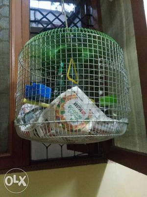 Green And Gray Chicken Cage