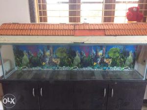 It's Aquarium... want to sell urgently.. if any