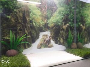 New fish Aquarium with Stones & Accessories