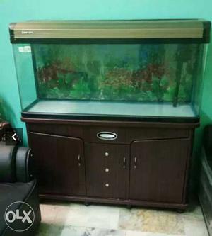 Rectangular Brown Frame Fish Tank