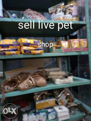 Sell live products of dogs such as feed shampo,