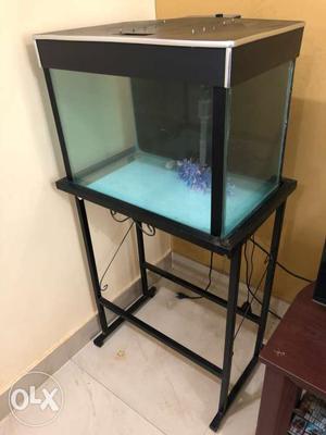Selling my aquarium with stand and 8kgs of high