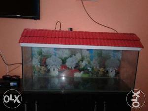 Six month old fish tank with filter,heater and all full