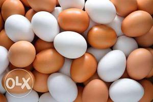 White And Beige Eggs