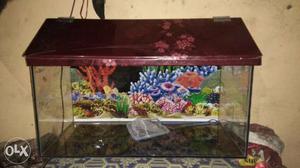 White Purple Floral Framed unused 2ft Fish Tank with cover