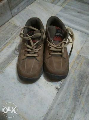 Gents Sports Shoes Size 6