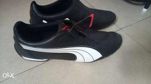 Puma sport shoe. Have used only once. Size 8. Orginal price
