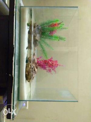 2 by 2.5 feet new fish tank including stones and