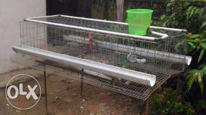 24 hen smart cage. automatic water and foo feeder