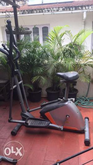 4 year old cross trainer, sleek and less bulky