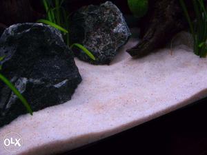 Aquarium stones and sand available at wholesale prices.