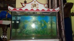 Beautiful FISH AQUARIUM FOR SALE.With water