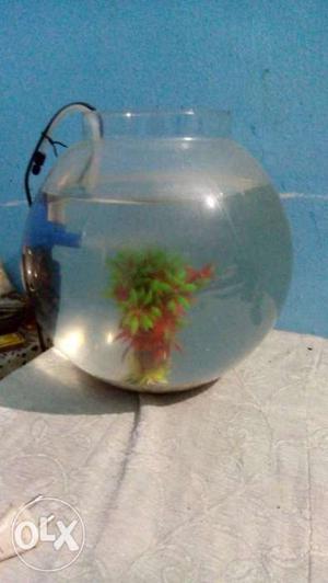 Fish aquarium Bowl