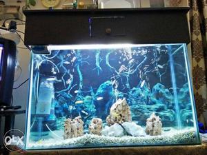 Fish tank size 38 Wide* 2.5 height * 1depth with all