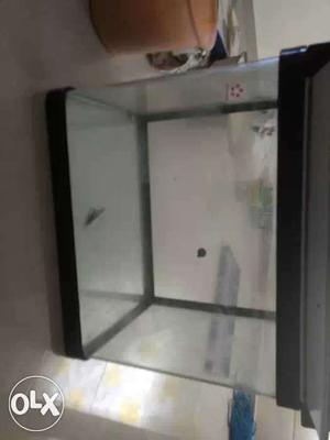 Five star aquarium with canister filter and