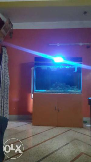 Full marine set up aquarium size 4ft 2ft 2.5ft